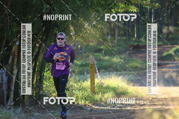 Buy your photos of the eventWolf Series - Botucatu on Fotop