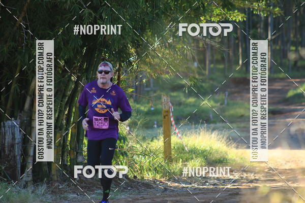 Buy your photos of the eventWolf Series - Botucatu on Fotop