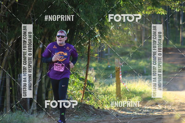 Buy your photos of the eventWolf Series - Botucatu on Fotop