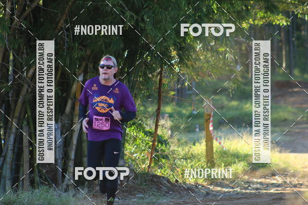 Buy your photos of the eventWolf Series - Botucatu on Fotop