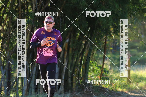 Buy your photos of the eventWolf Series - Botucatu on Fotop