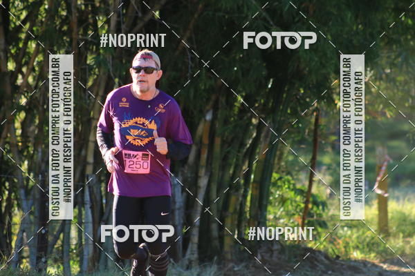 Buy your photos of the eventWolf Series - Botucatu on Fotop