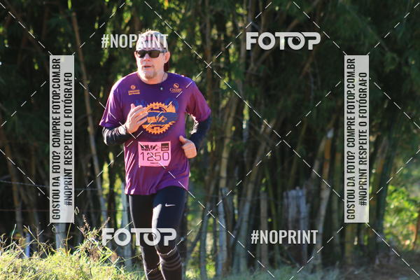 Buy your photos of the eventWolf Series - Botucatu on Fotop