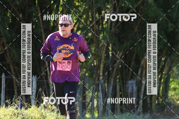 Buy your photos of the eventWolf Series - Botucatu on Fotop