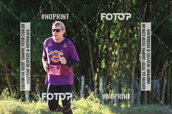 Buy your photos of the eventWolf Series - Botucatu on Fotop