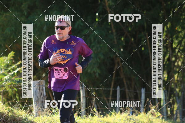 Buy your photos of the eventWolf Series - Botucatu on Fotop