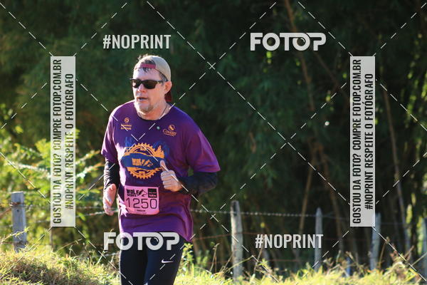 Buy your photos of the eventWolf Series - Botucatu on Fotop