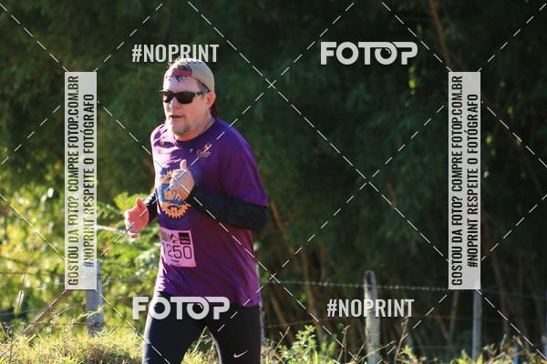 Buy your photos of the eventWolf Series - Botucatu on Fotop