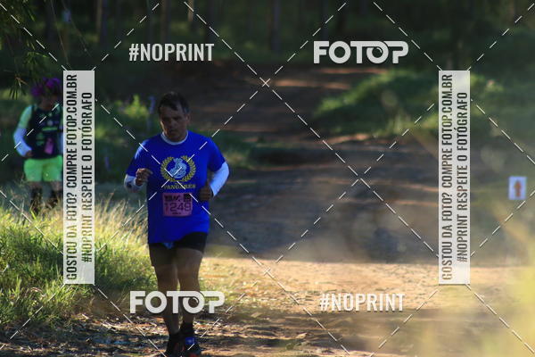 Buy your photos of the eventWolf Series - Botucatu on Fotop