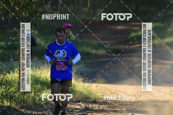 Buy your photos of the eventWolf Series - Botucatu on Fotop