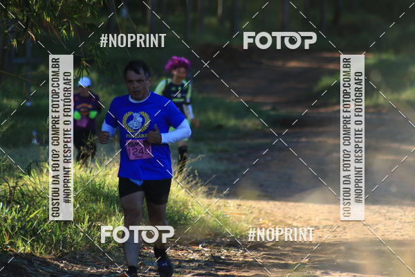 Buy your photos of the eventWolf Series - Botucatu on Fotop