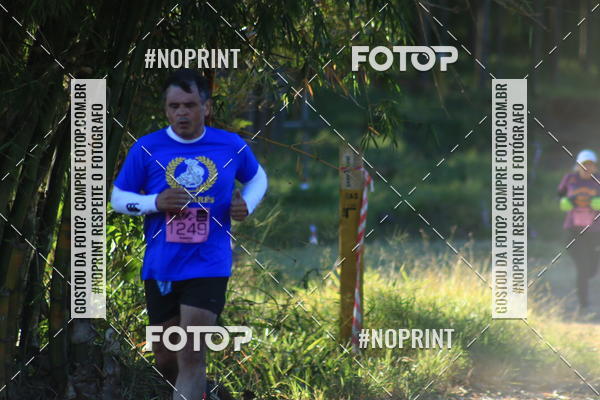 Buy your photos of the eventWolf Series - Botucatu on Fotop