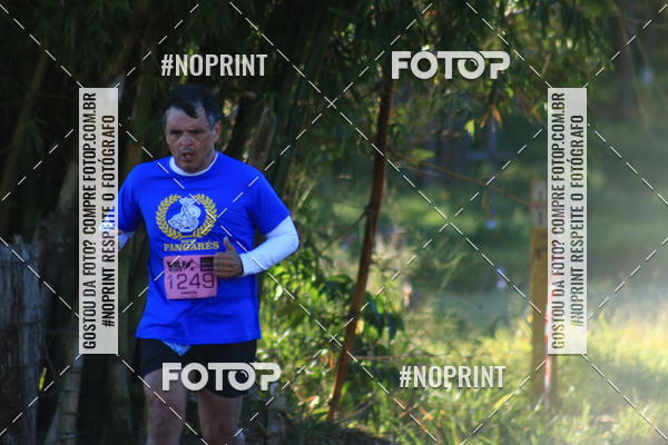 Buy your photos of the eventWolf Series - Botucatu on Fotop