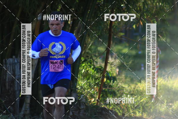 Buy your photos of the eventWolf Series - Botucatu on Fotop