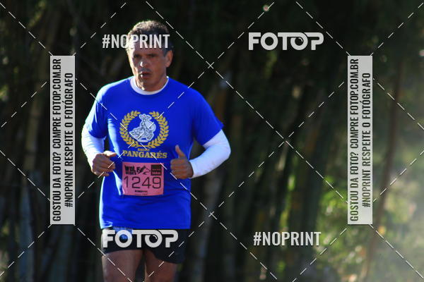 Buy your photos of the eventWolf Series - Botucatu on Fotop