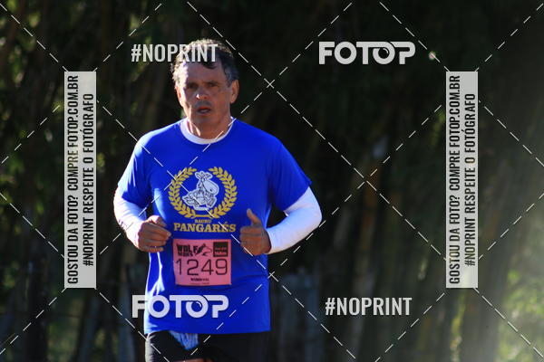 Buy your photos of the eventWolf Series - Botucatu on Fotop