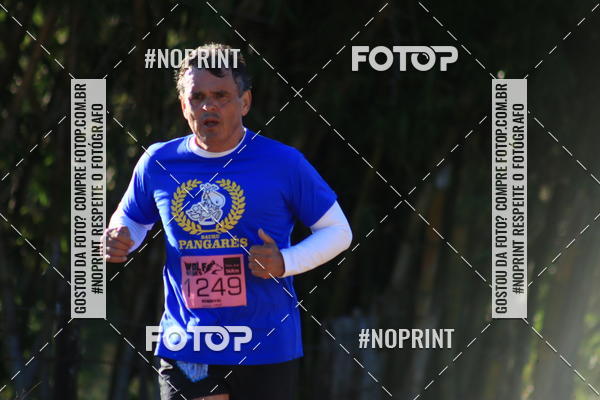 Buy your photos of the eventWolf Series - Botucatu on Fotop