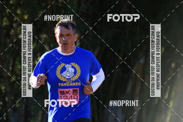 Buy your photos of the eventWolf Series - Botucatu on Fotop