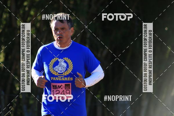 Buy your photos of the eventWolf Series - Botucatu on Fotop