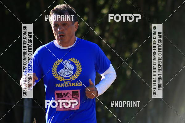 Buy your photos of the eventWolf Series - Botucatu on Fotop