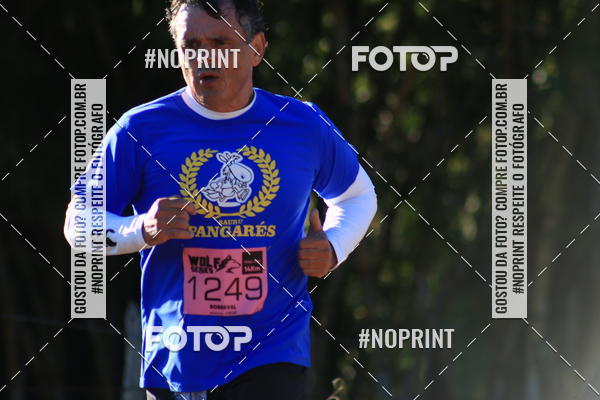 Buy your photos of the eventWolf Series - Botucatu on Fotop