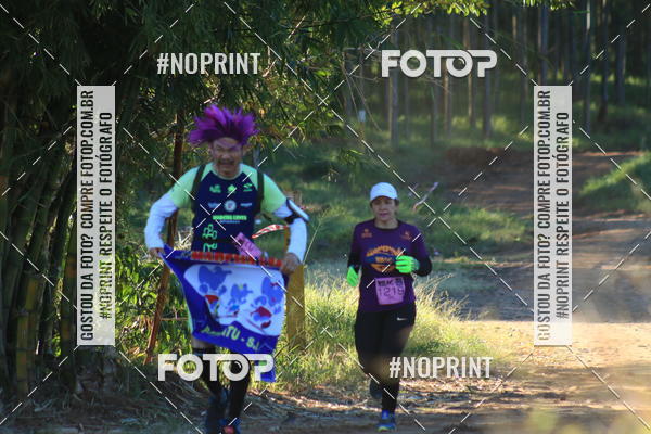 Buy your photos of the eventWolf Series - Botucatu on Fotop