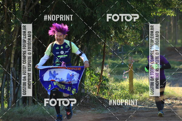 Buy your photos of the eventWolf Series - Botucatu on Fotop