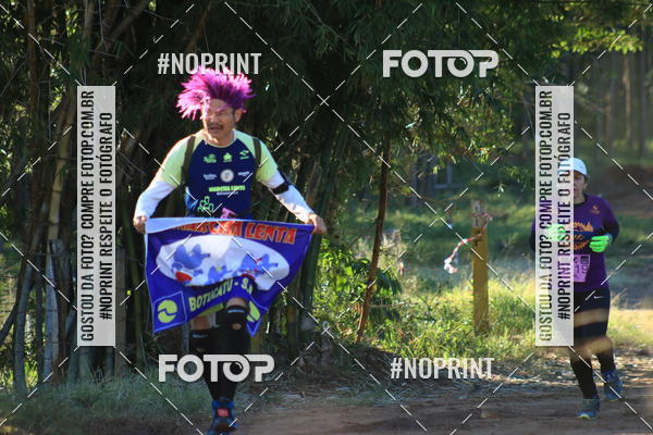 Buy your photos of the eventWolf Series - Botucatu on Fotop