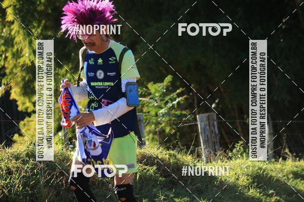 Buy your photos of the eventWolf Series - Botucatu on Fotop