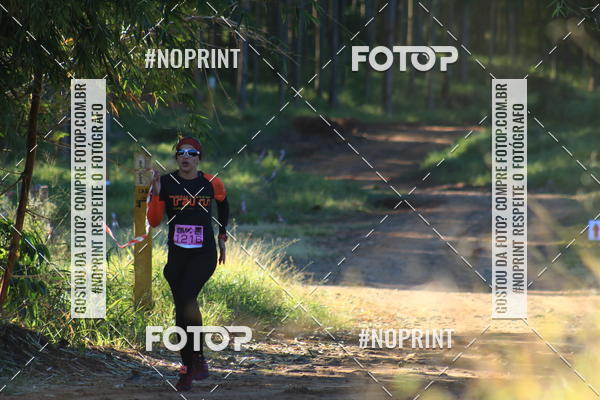 Buy your photos of the eventWolf Series - Botucatu on Fotop