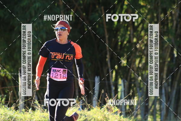 Buy your photos of the eventWolf Series - Botucatu on Fotop