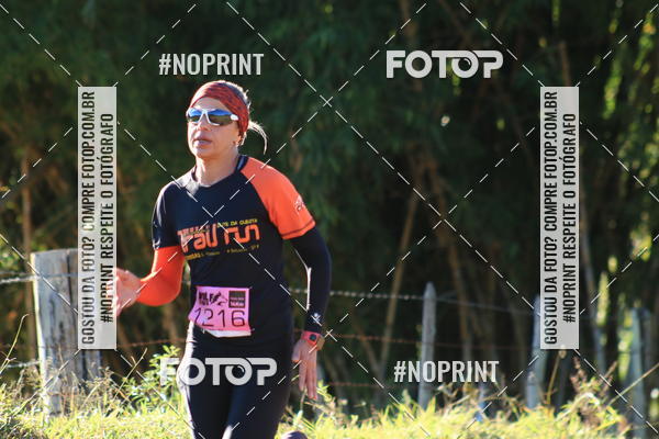 Buy your photos of the eventWolf Series - Botucatu on Fotop