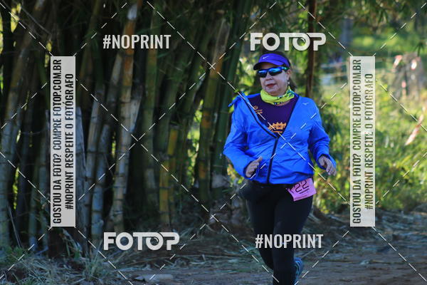 Buy your photos of the eventWolf Series - Botucatu on Fotop