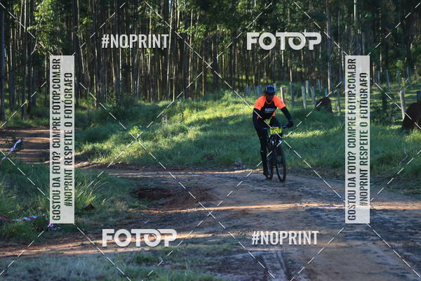 Buy your photos of the eventWolf Series - Botucatu on Fotop