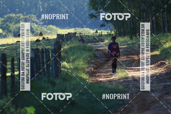 Buy your photos of the eventWolf Series - Botucatu on Fotop