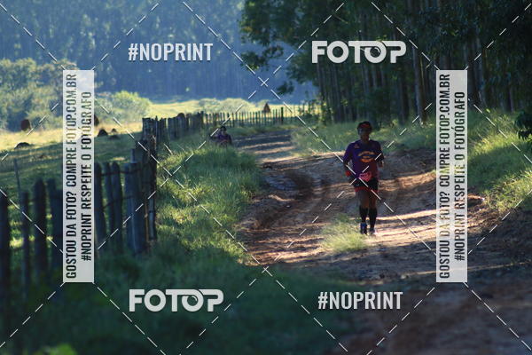 Buy your photos of the eventWolf Series - Botucatu on Fotop