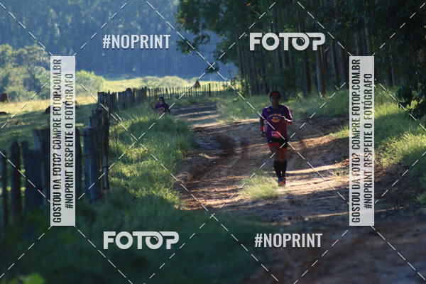 Buy your photos of the eventWolf Series - Botucatu on Fotop