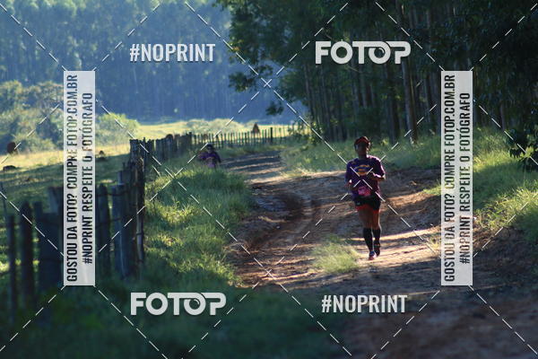 Buy your photos of the eventWolf Series - Botucatu on Fotop