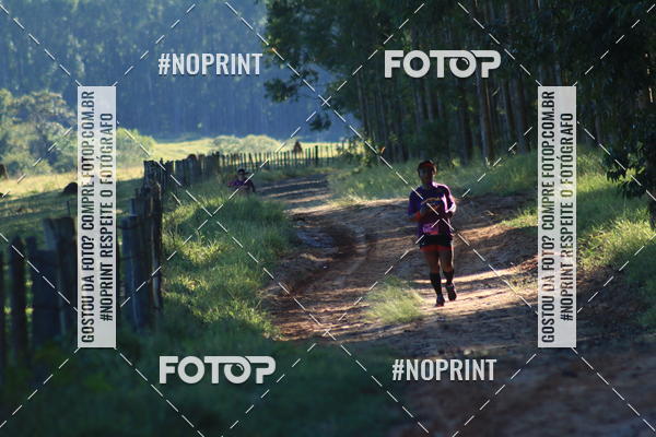 Buy your photos of the eventWolf Series - Botucatu on Fotop