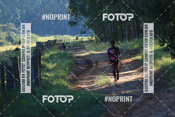 Buy your photos of the eventWolf Series - Botucatu on Fotop