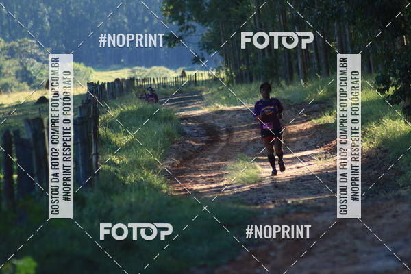 Buy your photos of the eventWolf Series - Botucatu on Fotop