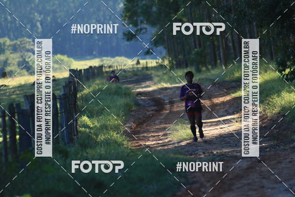 Buy your photos of the eventWolf Series - Botucatu on Fotop