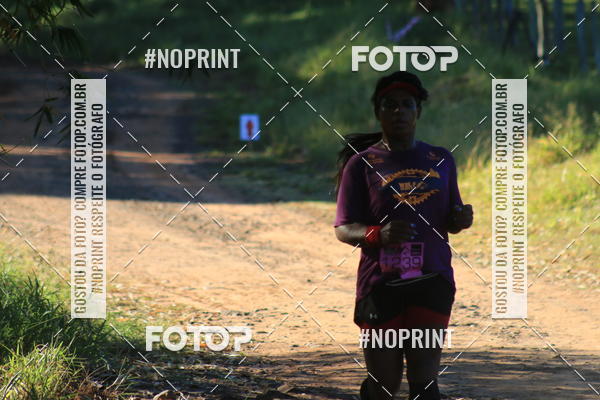 Buy your photos of the eventWolf Series - Botucatu on Fotop