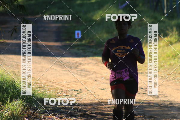 Buy your photos of the eventWolf Series - Botucatu on Fotop