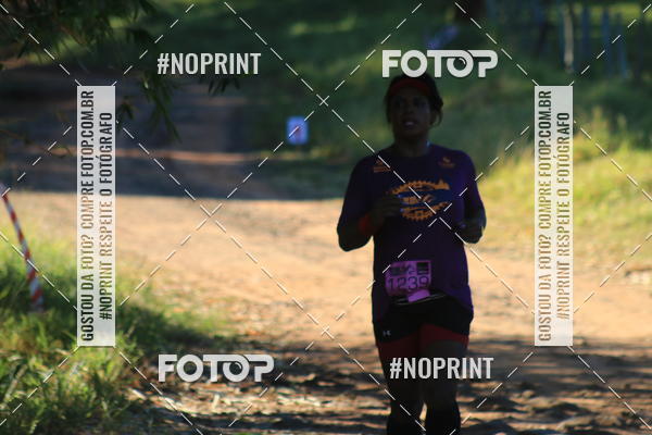 Buy your photos of the eventWolf Series - Botucatu on Fotop