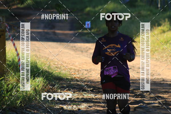 Buy your photos of the eventWolf Series - Botucatu on Fotop