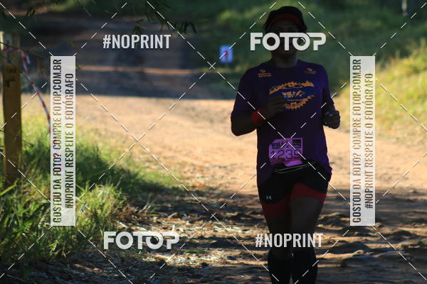 Buy your photos of the eventWolf Series - Botucatu on Fotop