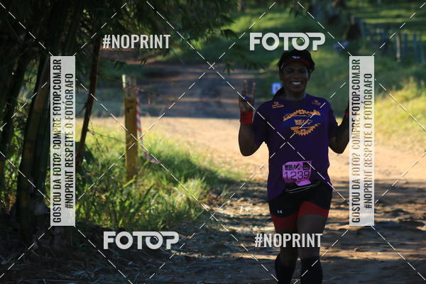 Buy your photos of the eventWolf Series - Botucatu on Fotop