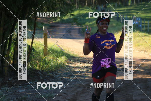 Buy your photos of the eventWolf Series - Botucatu on Fotop