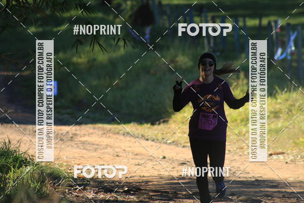 Buy your photos of the eventWolf Series - Botucatu on Fotop